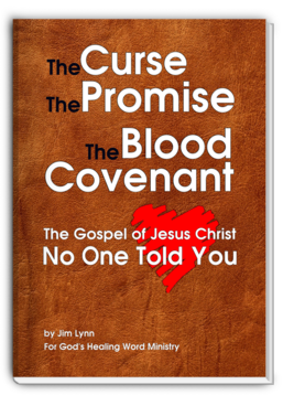 The Gospel of Jesus Christ No One Ever Told You